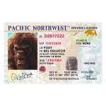Bigfoot Drivers License - Vinyl Sticker (1 STICKER)