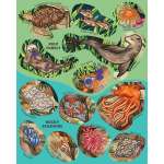 Creatures of the Ocean Sticker Poster - Book - Paracay