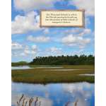 Discover Great National Parks: The Everglades - Book - Paracay