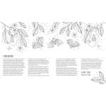 Fairy Tales & Folklore Coloring Book - Book - Paracay