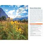 Fodor's Travel: Northern California - Book - Paracay