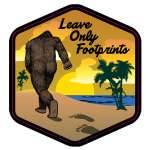 Leave Only Footprints Beach - Vinyl Sticker (1 STICKER)