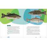 Let's Learn to Fish - Book - Paracay