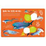 Magic Searchlight Sharks - Book - Paracay