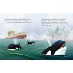 My Little Golden Book About Whales - Book - Paracay