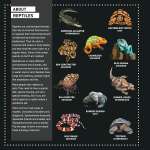 My Sticker Paintings: Reptiles - Book - Paracay
