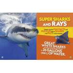 National Geographic Kids Puzzle Book of the Ocean - Book - Paracay