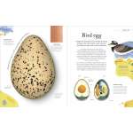 Nature's Treasures Objects From Nature - Book - Paracay

Nature's Treasures Objects From Nature - Book - Paracay

Nature's Treasures Objects From Nature - Book - Paracay