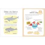 Ocean Anatomy  Activity Book - Book - Paracay