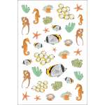 Ocean Anatomy Sticker Book - Book - Paracay