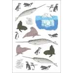 Ocean Anatomy Sticker Book - Book - Paracay