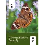 Pollinators of North America Playing Cards - Book - Paracay