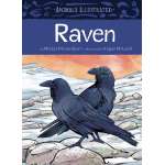 Animals Illustrated: Raven - Book