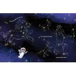 Reaching for the Stars - Book - Paracay