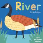 River - Now You See It! - Board Book