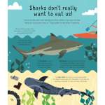 Sharks! Sharks! Sharks! - Book - Paracay