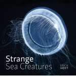 Strange Sea Creatures - Book