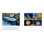 The Sea - Book - Paracay