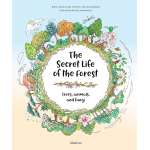 The Secret Life of the Forest: Trees, Animals, and Fungi - Book