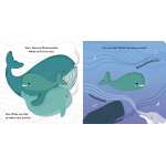 Whale - Book - Paracay