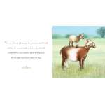 Why A Son Needs A Dad - Book - Paracay