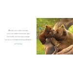 Why We Need Granddaughters - Book - Paracay
