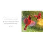 Why We Need Grandsons - Book - Paracay