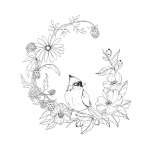 Woodland Wonderland - Book - Paracay