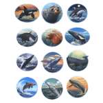 Pacific Northwest Marine Animal - Sticker Book