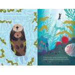 Over and Under the Waves - Book - Paracay