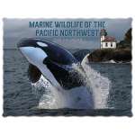 Marine Wildlife of the Pacific Northwest 2025 Calendar
