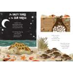 5-Minute Ocean Stories - Book - Paracay