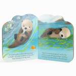 A Little Otter - Book - Paracay