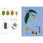 Arborama: The Marvelous World Of Trees - Book - Paracay