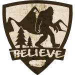 Believe Shield - Vinyl Sticker (1 STICKER)