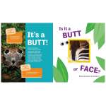 Butt Or Face? - Book - Paracay