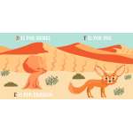 D Is For Desert: An Abc Desert Primer - Book - Paracay