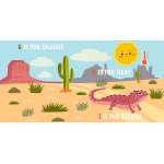D Is For Desert: An Abc Desert Primer - Book - Paracay