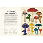 Fungarium: Welcome To The Museum - Book - Paracay