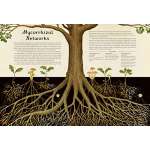 Fungarium: Welcome To The Museum - Book - Paracay