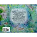 Hadibu Hyena'S Horrible Hiccups - Book - Paracay