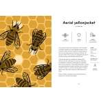 Insectorama: The Marvelous World Of Insects  - Book - Paracay