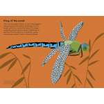Insectorama: The Marvelous World Of Insects  - Book - Paracay