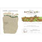 Julia-Rothman'S-Nature-Anatomy-Activity-Book-Book