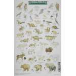 Mac'S Field Guide To Alaskan Wildlife - Book - Paracay