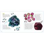 Minerals And Rocks: A Beginner'S Guide - Book - Paracay