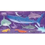 My First 100 Ocean Words In English And Spanish  - Book - Paracay