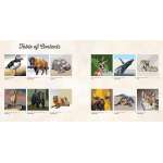 National Parks Of North America Amazing Animals - Book - Paracay