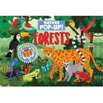Nature Pop-Up! Forests: 8 Pop-up Forest - Book