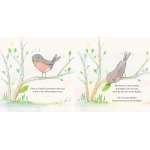 Papilio - Book - Paracay